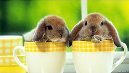 Húsvéti nyitva tartás